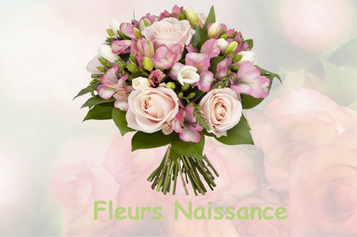 fleurs naissance OUSSE-SUZAN