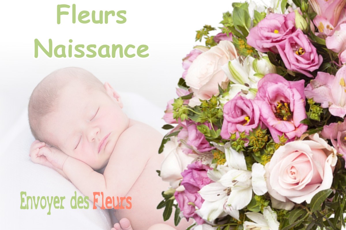 lIVRAISON FLEURS NAISSANCE à OUSSE-SUZAN